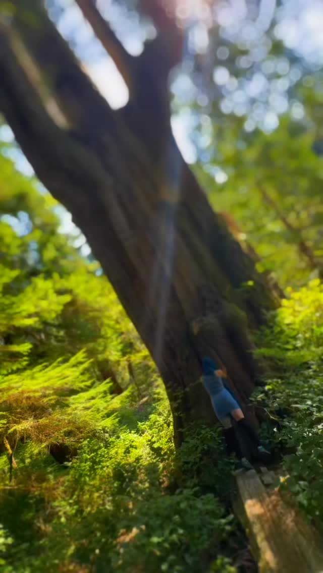 How we feel is directly showing us the state of our internal landscape. When we feel big feels, let’s drop into the body.
Our body shows the way. We feel it as tension, pressure, pain - and often unconsciously resist it.
Tension arises as armour, to protect ourselves from feeling something unsafe, perhaps what once was. That old armour gets heavy though.
When we soften the resistance in our body, we let ourselves feel truth arise, opening space to feel and let energy flows.
When we track those somatic signals, everything simplifies: less story, less defense, we need not take anything personally.
Reorient in coherence by softening into the truth of the moment.
This is where true power is found. Let me show you the magic of focalizing somatics and you’ll remember the truth within.