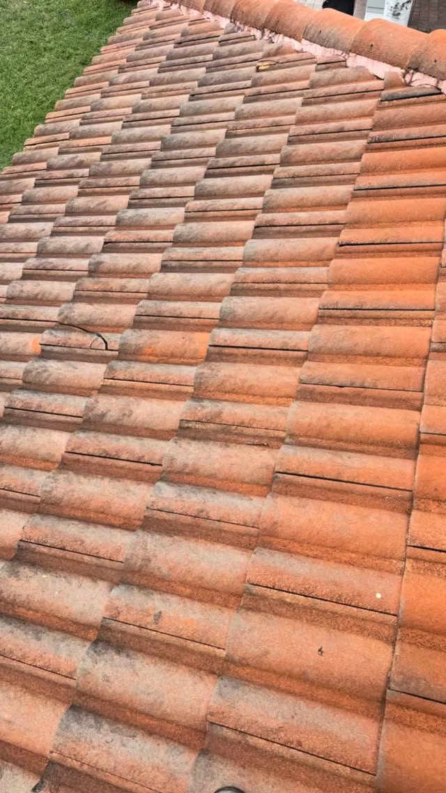 #beforeandafter #roofcleaning #softwashing #pressurewashing #disinfecting #pressurecleaning #detailing #ceramiccoating #tnacleans #tnawedontplay call today for a free estimate 3053189961 www.tnacleans.com