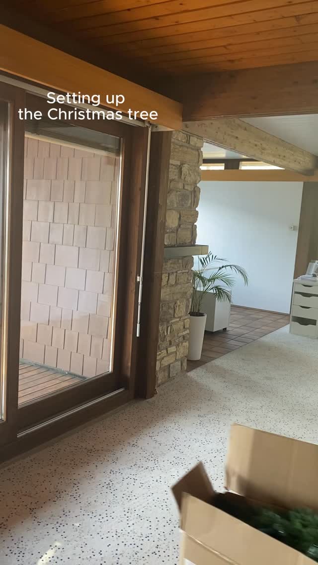 Habt ihr euren Weihnachtsbaum schon aufgestellt? Unser Büro ist jetzt auch in Weihnachtsstimmung. 🎁🎄🎅
#christmas #christmasdecorations #christmastree #fyp