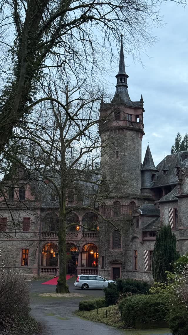 Scenes from the Holiday Festivities in Schloss Langenzell