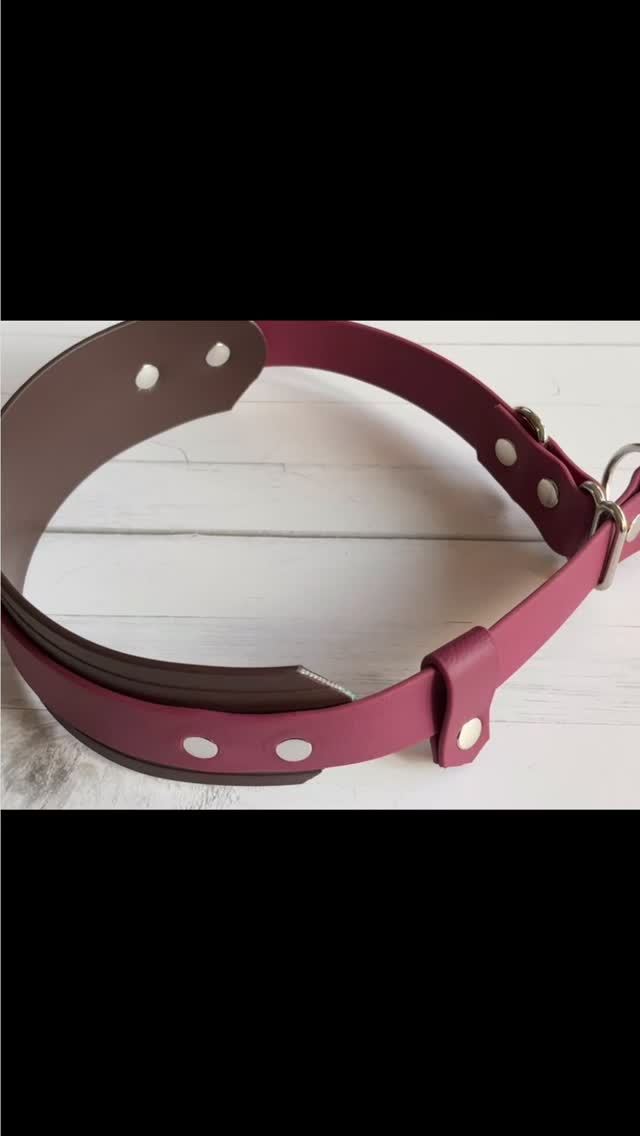 #yvrdogs #yvrdogsofinstagram #buylocalbc #bcdogs #biothane #dogsofcanada #biothanecollar #biothaneleash #vancouverdogs #vancouverdogsofinstagram #vancouverdoggos #marpoledogs #vancouverdog #vancouverdogs #vancouvervendors