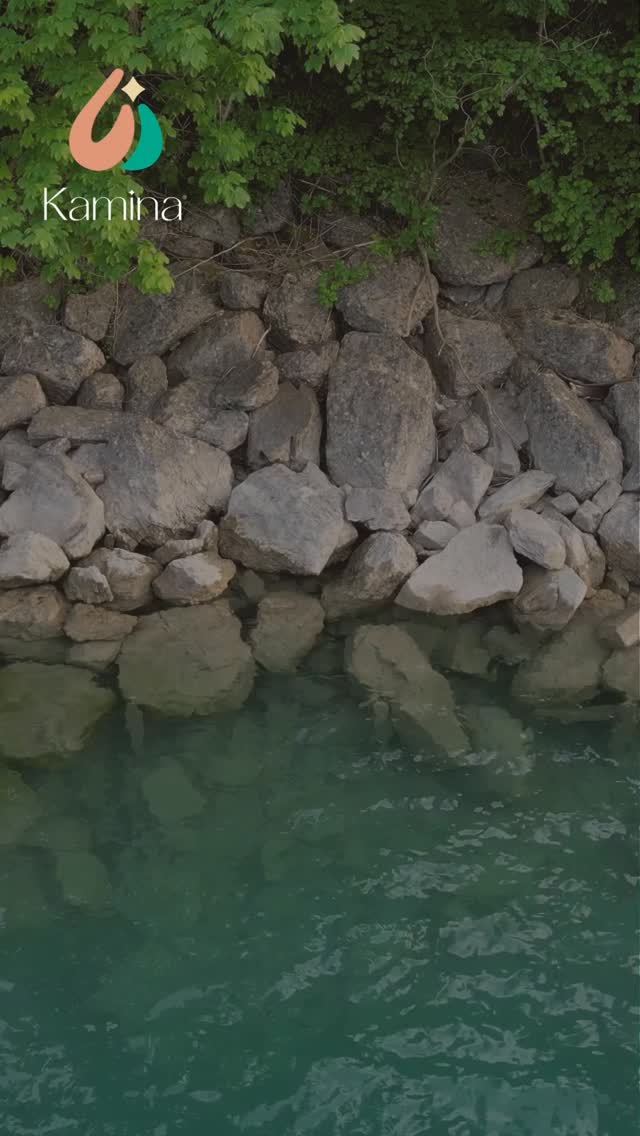 Frases Budistas para reflexionar
#Coaching #coachingholístico