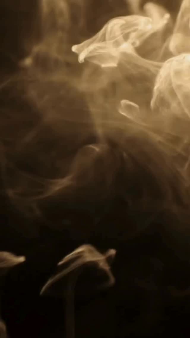 #dfw #blackfriday #dallas #blackfridaydeals #420