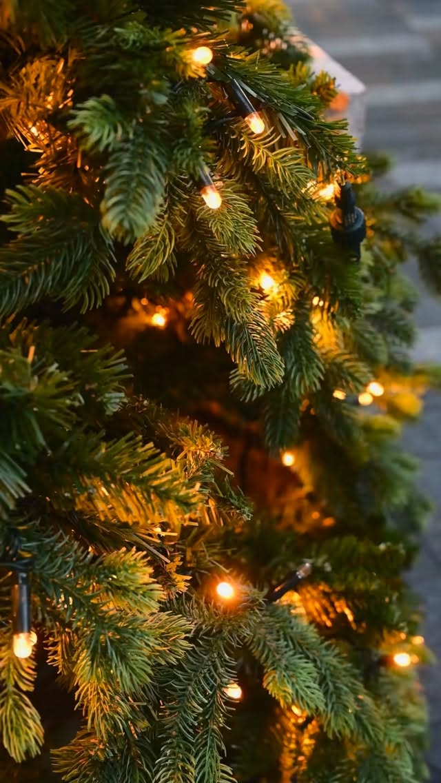 Estas Navidades, regálate una sonrisa más luminosa ✨
Los tratamientos estéticos como el blanqueamiento dental son una opción sencilla para verte y sentirte mejor.
En Coppel Dental te asesoramos para elegir el tratamiento ideal para ti.