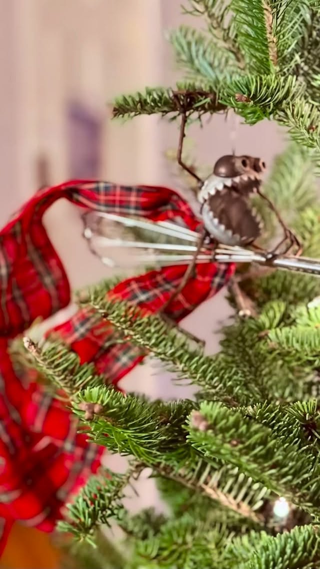 Enjoying a joyous holiday season🎄❄️