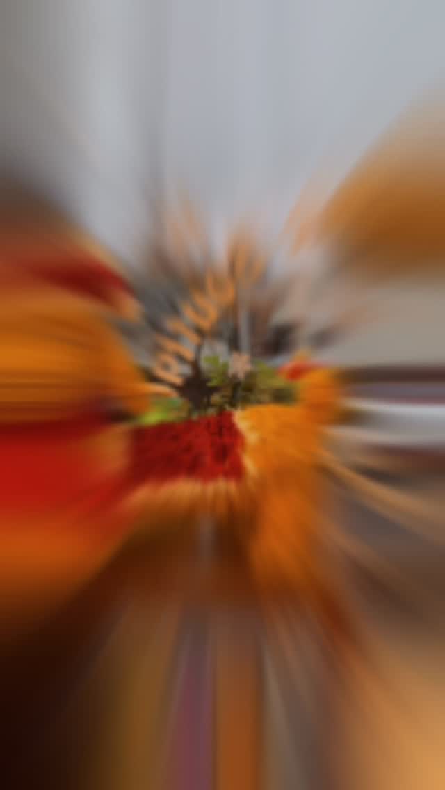 Scruffy Dogs Cardiff
scruffydogs.net
Visit our shop just off Llandaff High Street, Scruffy Dogs
47c Cardiff Road, Cardiff
#CardiffDogs #CardiffDogShop #CardiffDogLovers #CardiffPets #SouthWalesDogs #WalesDogCommunity #UKDogShop #CardiffSmallBusiness #CardiffDogTreats #DogShopCardiff #HealthyDogTreats #NaturalDogTreats #DogNutrition #RewardYourDog #HappyHealthyPup #WholesomeTreatsForDogs #NaturalPetSnacks #DogDryrobe #DogFleece