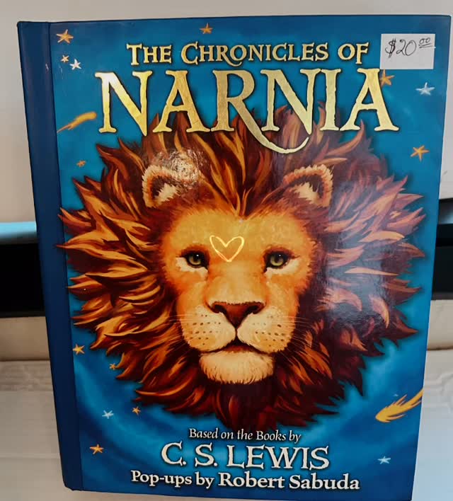 #friendsofthecamarillolibrary #narnia #christmasgift