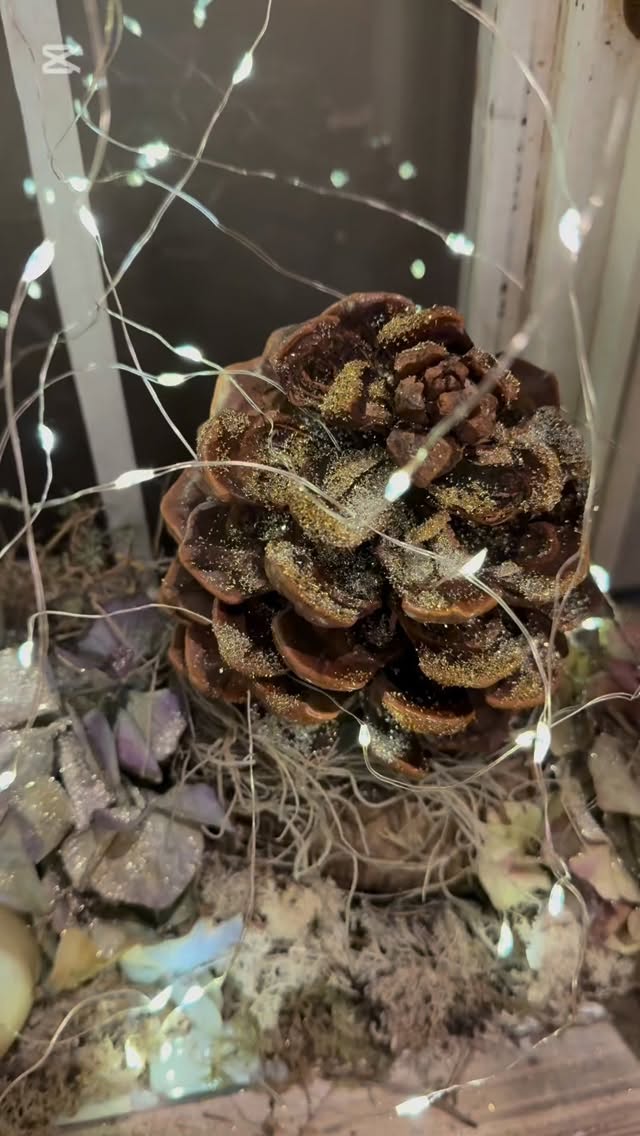 Schönen 2. Advent 🎄
Euer Team Steinhof❤️