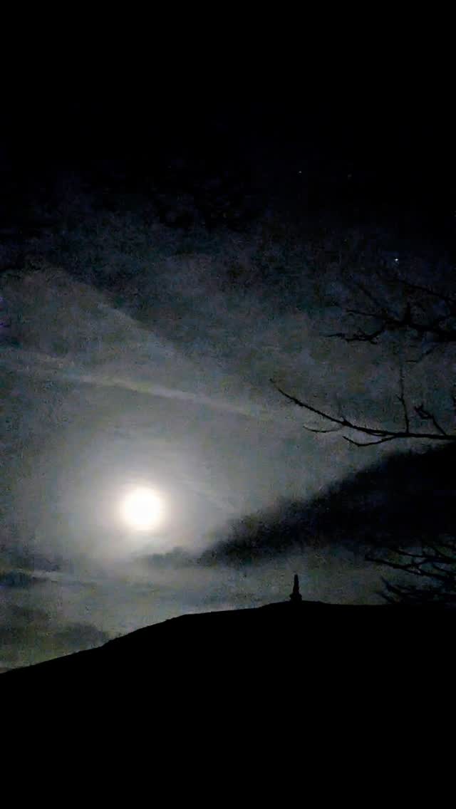 Moon......
#massagehebdenbridge #massageforwellness #massageforwellness #massageforpainrelief #massagetherapist #massagetherapy #massagefortrauma #massageforanxiety
#gratitude #dreamsymbols #dreamweaver #dreams #dreamanalysis