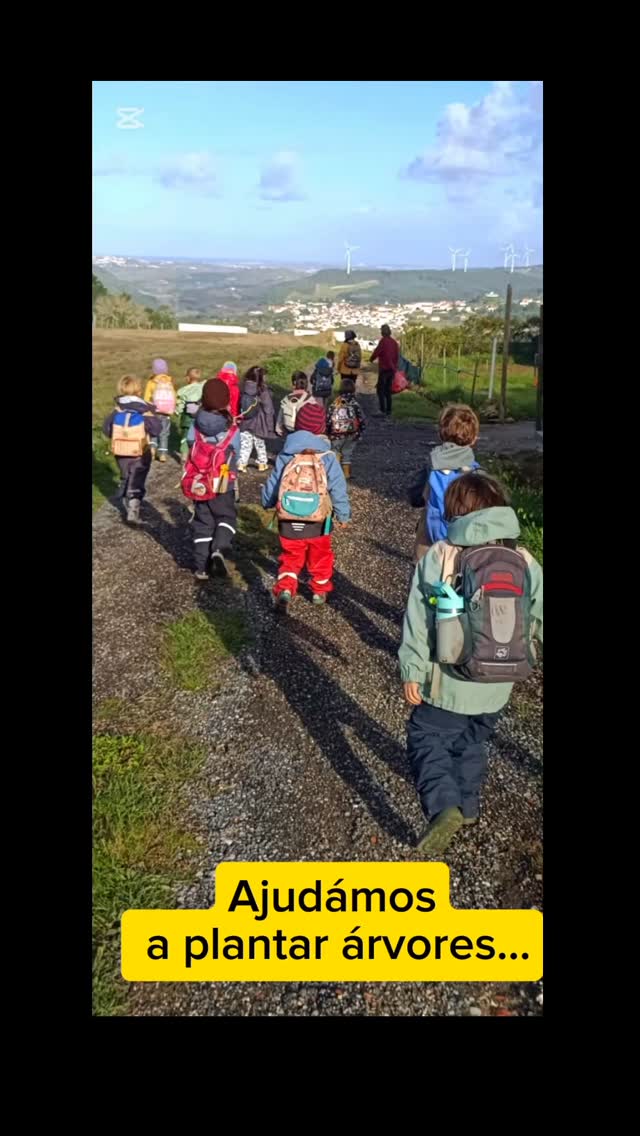 Fomos plantar algumas árvores ao terreno novo...