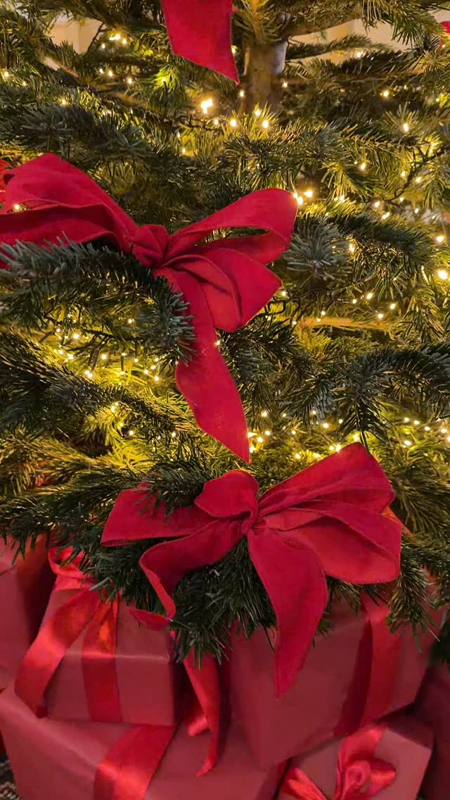 Tis the season to enjoy.
The team continue to create beautiful Christmas florals and decorate trees for Christmas events.
#blomsterdesignsflowers #florals #blomsterdekoratør #blomsterdekoratör #christmasseason #christmastime #christmastree #christmasdecorations #christmasfloral