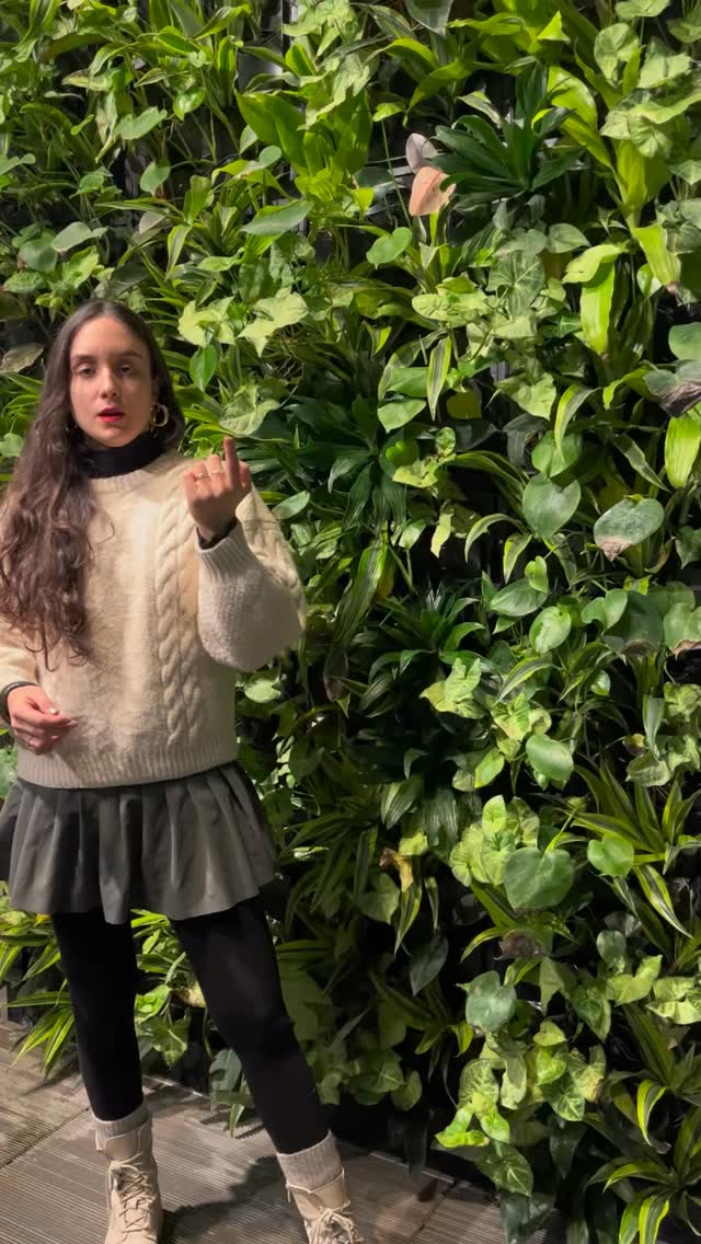 GO REGISTER - LINK IN BIO
_
#mtlevent #beatplasticpollution #youthinnovation #plasticstreaty #socialentrepreneurs #plasticcrisis #montrealart