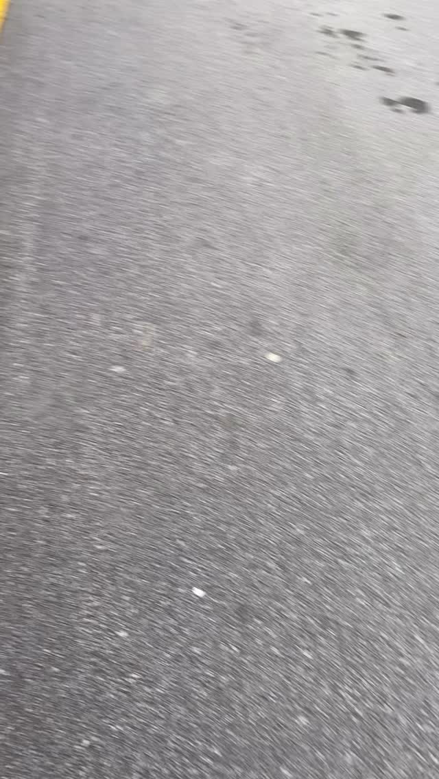 It’s customer appreciation day!!! Come on in and grab your free treats, your free fit with purchase and I few surprise giveaways! #icedandtoppedbakery #love #bhfyp #customerappreciation