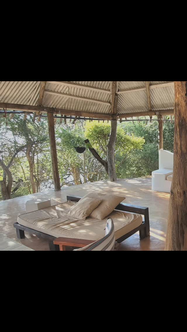 Morning sun filtering through the trees into the camp. Its going to be another glorious day at Teddy Bear. #teddybearbaringo #islandlife #greatriftvalley ##amazingplaces