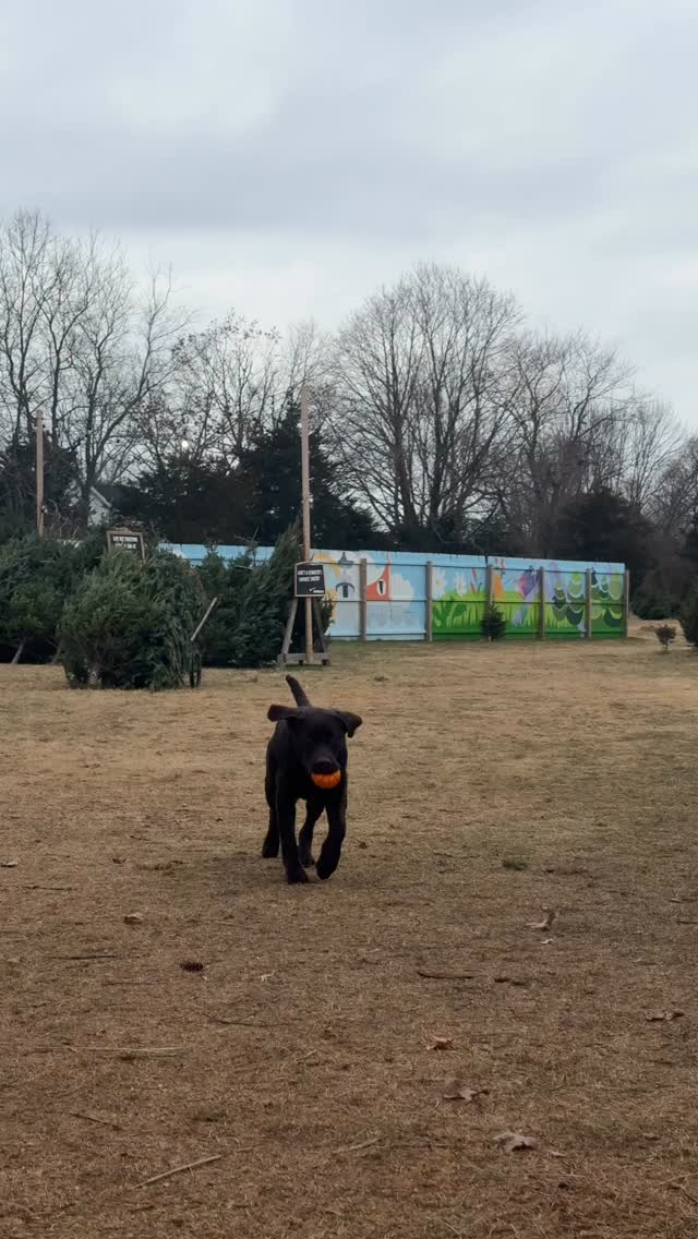 12 Days Till Christmas Countdown!!
Shop Local, Shop Small
Monday-Wednesday 12pm-5pm, Thursday-Sunday 9am-5pm
#mysticconnecticut #christmas #xmas