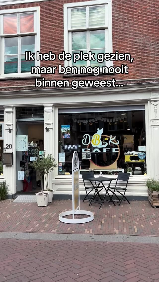 Je denkt dat het van buiten al leuk is…
maar wacht maar tot je binnenkomt 😽✨
Tien katten, cozy hoekjes en de liefste sfeer van Alkmaar.
#kattencafe #alkmaar #catsoftiktok #cozyvibes #tencats