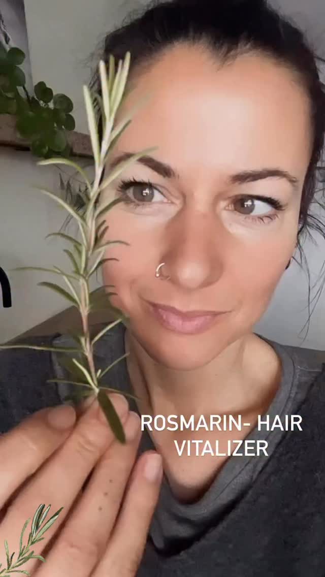 Rosmarin Hair- Vitalizer 🌿
Heut hab ich ein Beauty DIY für dich.
Einfaches Rezept- super Wirkung🤍
Ein Auszug bzw starker Tee aus Rosmarin erhöht die Durchblutung deiner Kopfhaut, stimuliert auch das Haarwachstum und verleiht mattem Haar wieder mehr Glanz.
Rosmarin hat entzündungshemmende und antibakterielle Eigenschaften, was auch super für die Reinigung der Kopfhaut ist und Schuppen und Juckreiz entgegen wirkt!
Dieses tolle Tonic ist übrigens für alle Haartypen geeignet 🤍
Rezept :
Ca 250 ml Wasser
~2 EL getrocknete Rosmarin (oder 3 EL frischen )
Sprühflasche Glas
Sieb, Trichter
(Optional ein paar Tropfen ätherisches Rosmarin Öl)
Topf mit dem Wasser aufstellen und zerkleinerten Rosmarin hinzu- etwa 15 -20 Minuten leicht zugedeckt köcheln lassen. Etwas ziehen lassen,
Abseihen und abfüllen.
Du kannst jeden Tag deinen Ansatz und deine Haare damit einsprühen🤍
Im Kühlschrank etwa 1 Woche haltbar.
Kann bei regelmäßiger Anwendung verdunkeln, bei blonden Haaren sparsamer anwenden 🤍
Viel Freude beim ausprobieren ✨
Alles Liebe, eure Meli mint
.
#rosmarin #hair #haare #naturalbeauty #natukosmetik #natural #haarpflege #haircare #grünekosmetik #diy #rezept #selbermachen #zerowaste #kräuterkunde #herbalista #herbalife #kräuterkraft #herbs #health #love #vitalizer