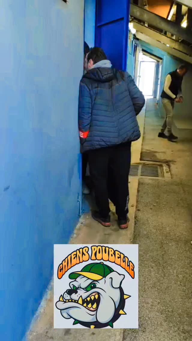 Chiens poubelle #rugby #hyéres #carquierrane #lacrau #toulon