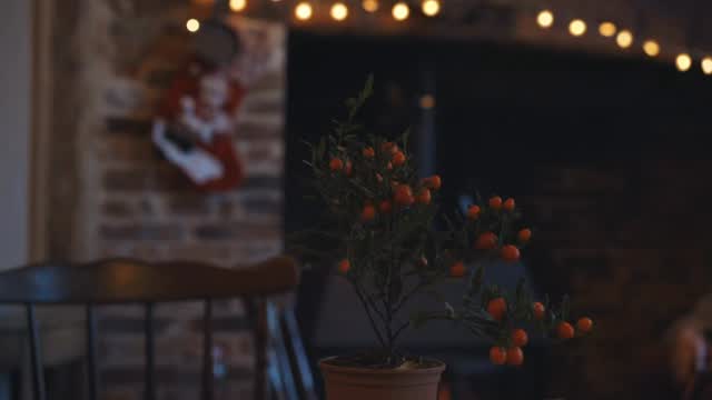 THIS FRIDAY 5th DECEMBER FROM 4pm - A Christmas NachtMarkt! Come and support independent merchants and artisans this Christmas by buying local! We will have everything from hand spun knitted garments to handmade jewellery, local meats, vintage bric a brac, hand crafted treasures and ornaments, hand made leather goods, preloved and vintage clothes, textiles, a Kings Head stall selling wine gift boxes and KH merch, bratwursts, mulled wine and cider with minced pies and a live Irish folk music trio performing inside! We can’t wait to welcome you in to the festive Kings Head! #christmasmarket #thingstodoinsuffolk #liveirishmusic