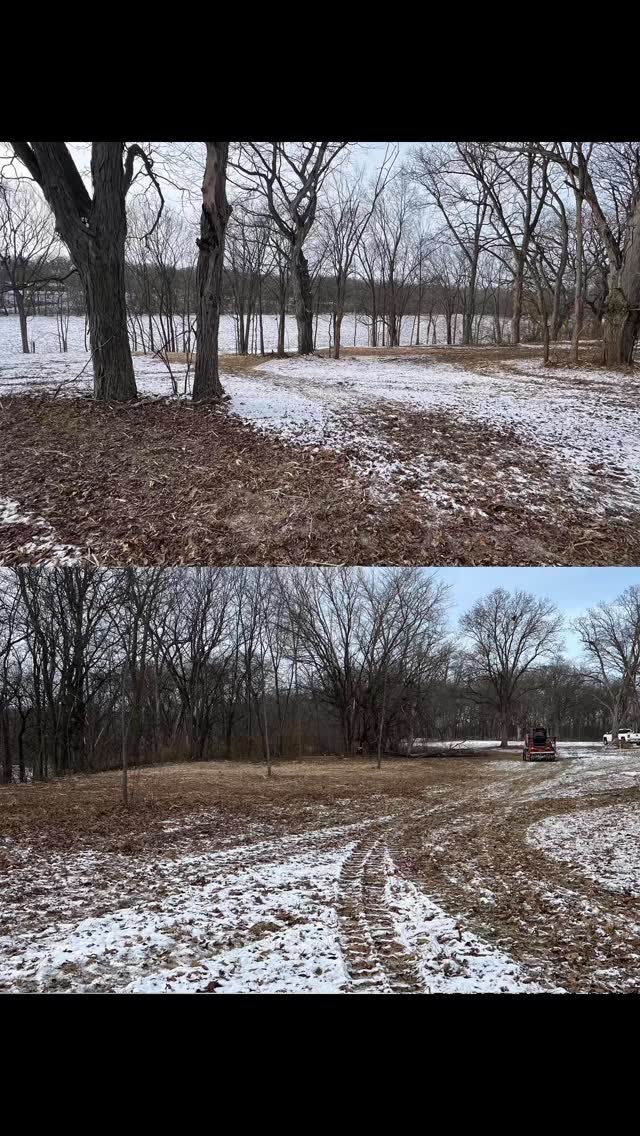 Winter mulching = smoother spring. Clearing brush now keeps next season’s growth under control 🌲💪