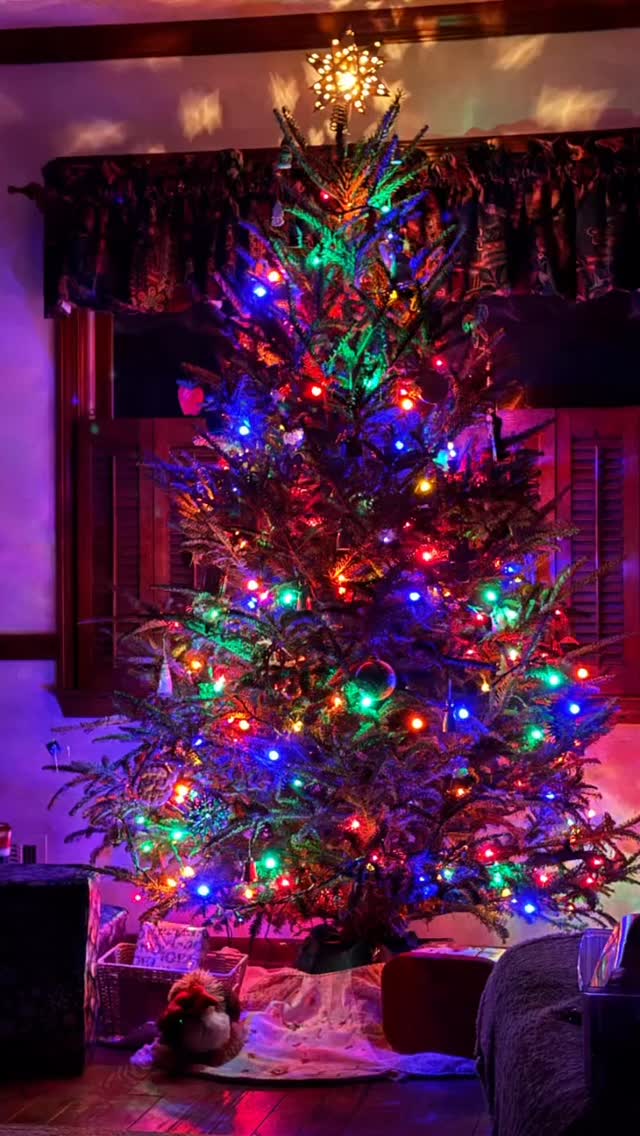 My Greatest Christmas Wish 🌟
If you are reading this. This is my prayer for you. May you know the peace that transcends, the joy that is strength, and the love that saves—eternally.
“For God so loved the world that he gave his one and only Son, that whoever believes in him shall not perish but have eternal life. For God did not send his Son into the world to condemn the world, but to save the world through him.”
John 3:16-17 NIV
Merry Christmas ❤️
#myChristmaswish #youareonmylist #anintercessorsprayer