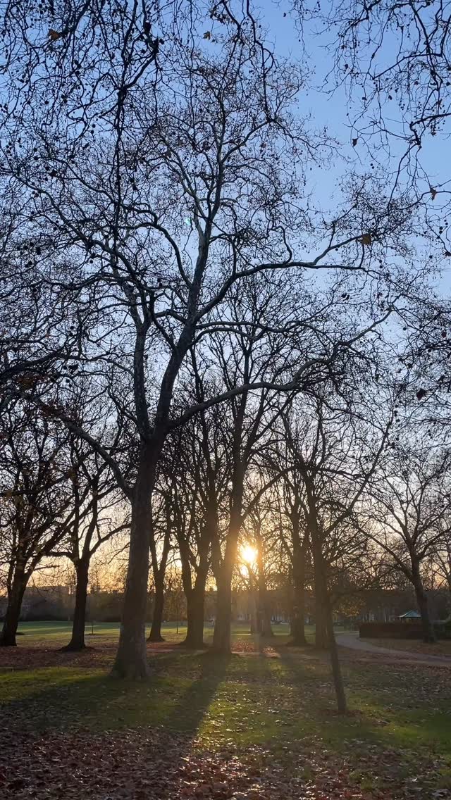 A moment of mindfulness and connection in Queen’s Park ~ my old stomping ground ~ before back to Cranio-Sacral training ✨
#foreverstudent
#alwayslearning
#bodywork
#touchtherapy