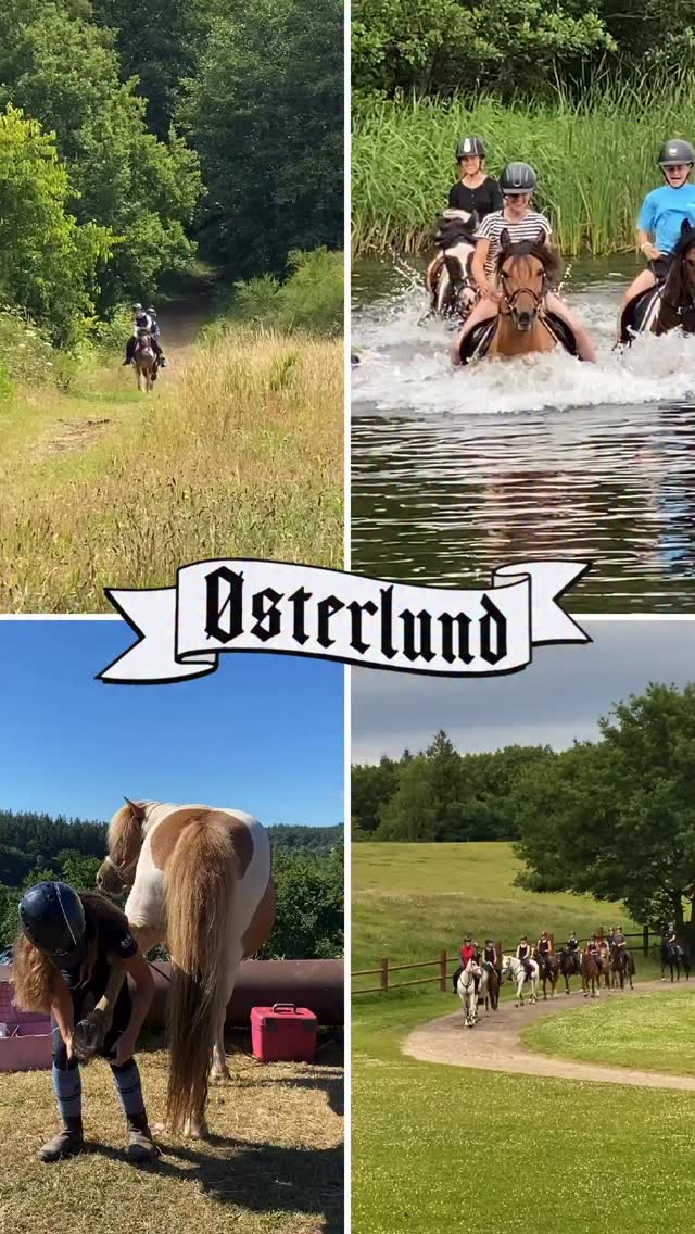 Glade dage på Østerlund Ridelejr🥳🩷 Husk at vi har åbnet for tilmelding til ridelejr i 2026, læs mere på hjemmesiden!! Vi ses! #østerlundridelejr #danmarkssjovesteridelejr
