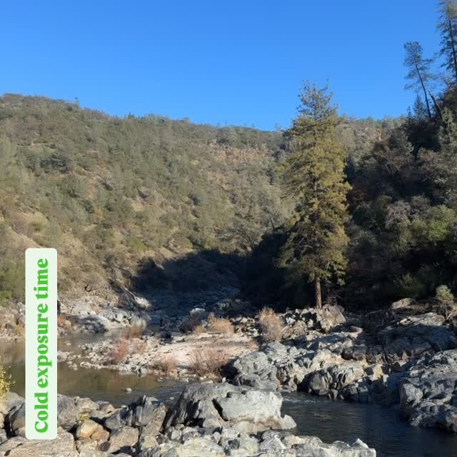 cold exposure can be beneficial for you, potentially improving mood, reducing inflammation, boosting your metabolism, and strengthening your immune system. #empowerment #mindfullness #cold #coldexposuretherapy