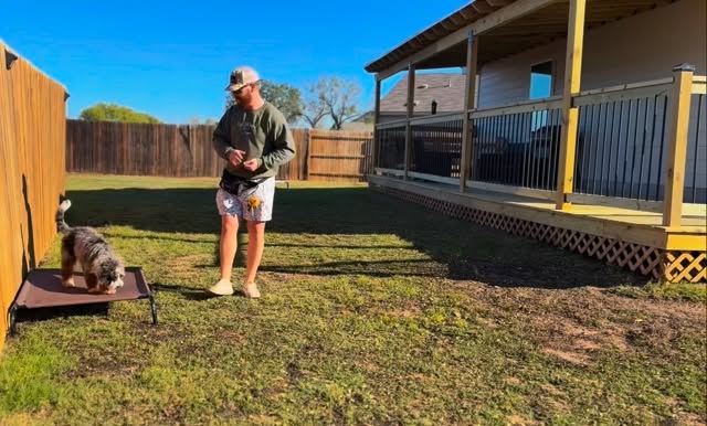 Two very different dogs, same amazing transformation. These girls are heading home Monday! 🙌🐾
⠀
👑 London (4-month Bernedoodle) understood the assignment from day one. Smart, driven, and eager to work—her progress has been nonstop.
⠀
🌹 Rosie (6 years) came in struggling with anxiety, but structure + obedience = confidence. She’s leaving a whole new dog.
⠀
Proud of both of these ladies. Go crush it out there! 💪🐶