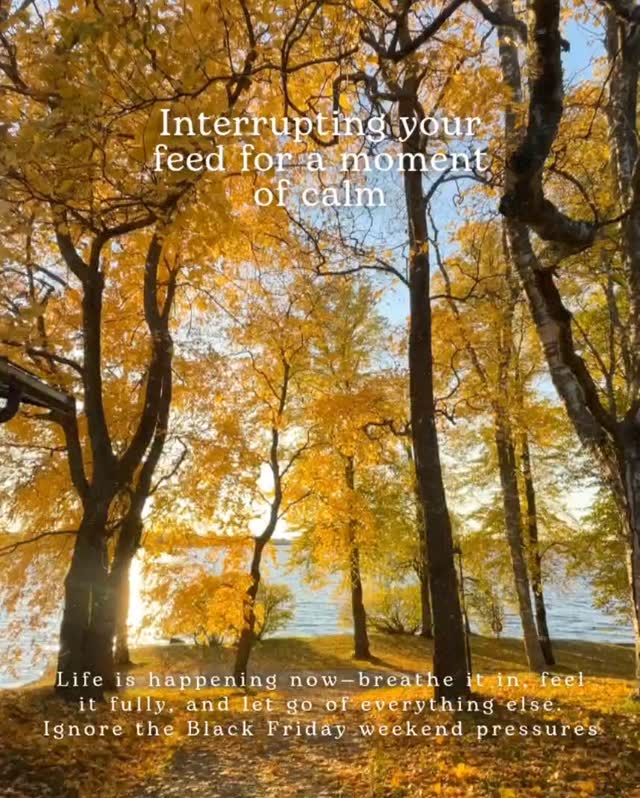 😌 Interrupting The Black Friday Sales Noise 😌
Don't know about you, but my feed is full of Black Friday sales ads and I hate it.
The pressure to buy is heavy!!
So, have a moment is calm to break the noise 🍂