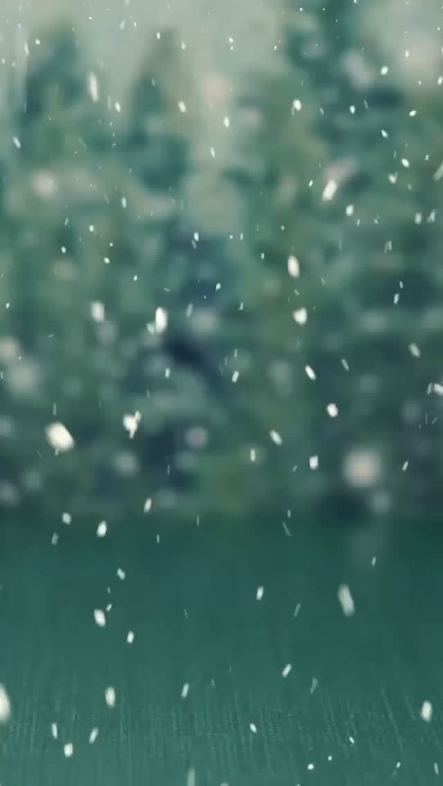 En esta Navidad, queremos agradecer a todas las personas que han sido parte de un año dedicado al cuidado del entorno y a la responsabilidad ambiental. Cada gesto de reciclaje, cada decisión consciente y cada acción sostenida hace una diferencia real. 🎄♻️🌟
Que estas fiestas lleguen con armonía, esperanza y la motivación de seguir construyendo juntos un futuro más limpio y respetuoso con nuestro entorno. ✨🌿💫
Felices fiestas de parte del equipo de Reciclom 💚🎅🏻🤶🏻
#NavidadSustentable #CuidemosElPlaneta #ResponsabilidadAmbiental #ReciclajeChile #chilerecicla #navidad2025