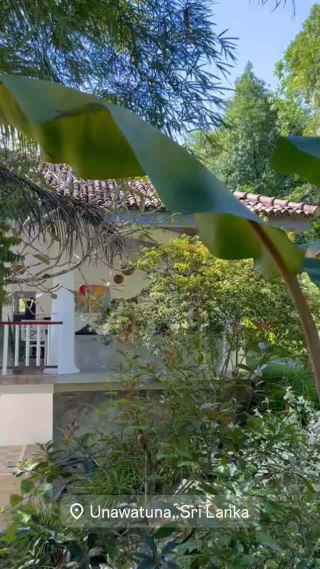 🍀 Nature - Pool - Holiday - Perfection #livingthemoment❤️ #travel #southsrilanka #holiday #infinitypool #boutiquehotel #galle #ahangama #srilanka #hotel #design #elegance #
