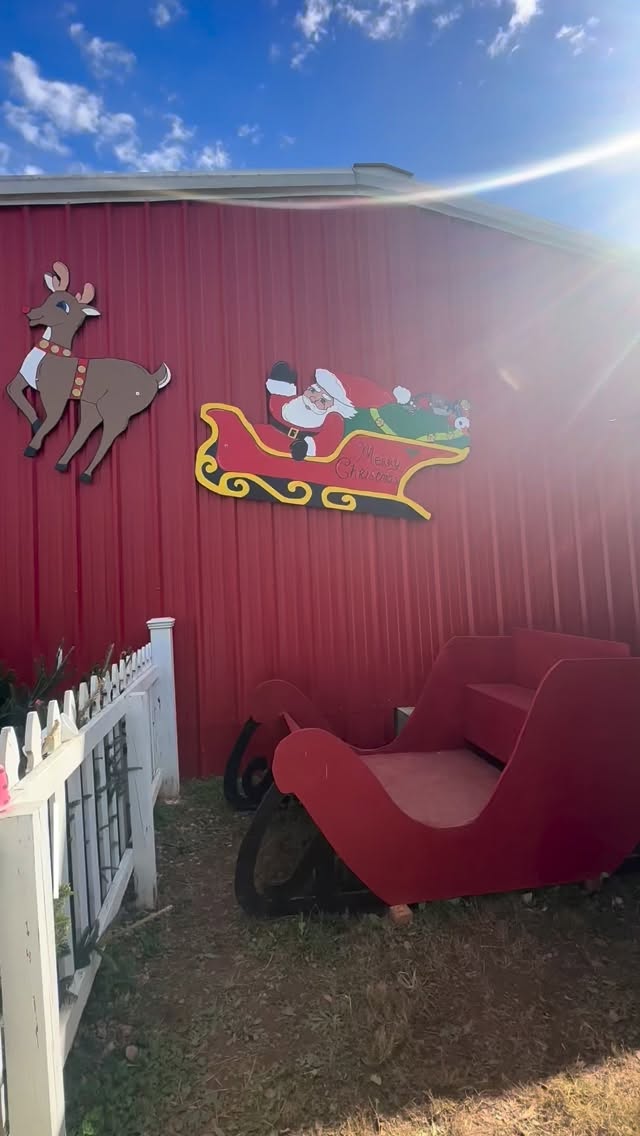 🌲 CHRISTMAS AT JACK’S CREEK — OPEN TODAY!
Come enjoy the full farm experience:
✔ Cut-your-own field trees
✔ Fresh pre-cut Fraser firs from North Carolina
✔ Farm animals every day
✔ Hayride through the Tunnel of Lights
✔ Grandma’s Christmas Shop full of ornaments & gifts
✔ Concessions on weekends
✔ Dogs welcome on a leash
📅 Farm Hours:
Weekdays: 11 AM – 6 PM
Weekends: 9 AM – 6 PM
📅 Santa Dates:
Nov 30 — Sunday
Dec 6 — Saturday (11 AM–4 PM)
Dec 7 — Sunday
Dec 13 — Saturday
Dec 14 — Sunday
⏰ Santa Hours:
10 AM – 5 PM
(except Dec 6 — 11 AM–4 PM)
We hope to see everyone out at the farm—Merry Christmas from our family to yours! ❤️💚🎄
