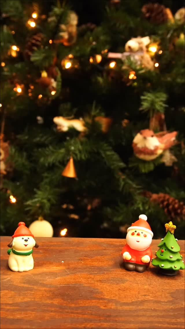 The coziest Christmas pop-up in Vancouver 🎄✨
Create your own mini moss world — perfect to gift or keep 💚
5:30 PM is already sold out!
Limited spots left → 6:15 PM & 7:00 PM 🌿
$35 online booking · $45 walk-in
📍Oasis Terrarium Studio