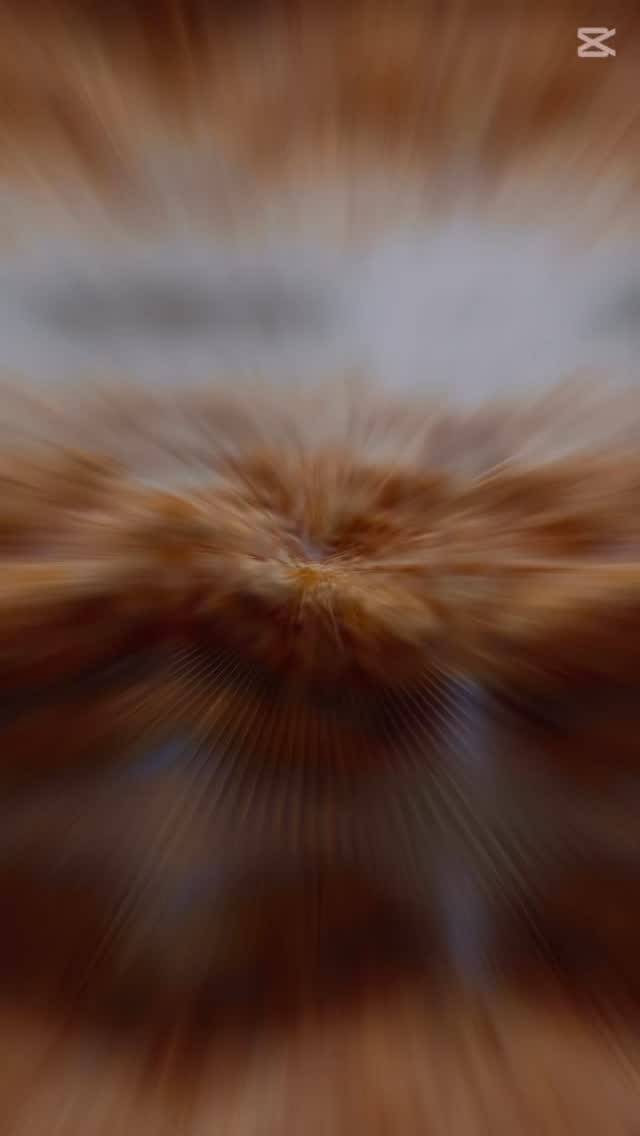 El Napoleon és un d’aquells postres que fan història. Inspirat en el milfulles clàssic francès, va trobar a Rússia el seu lloc de glòria, on la recepta es va desenvolupar fins a convertir-se en un símbol de la pastisseria tradicional.
Un mil fulles de nata, mantega i un toc especiat!!!! #cuinaambarrels #atlansbd #greekandmexicanfood #gastronomia #foodinnovation #atlansbd .