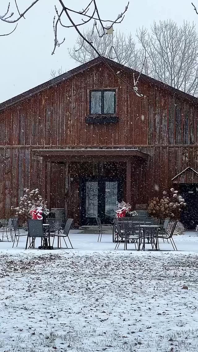 When the snow starts falling, take shelter where it’s warm, welcoming… and always well-poured. ❄️🍷Shop in-store or online for your holiday favourites.
Enjoy complimentary local delivery on orders over $70, and complimentary Ontario shipping with any case of 12. 🍷
#vqa #shoplocal #winesofontario