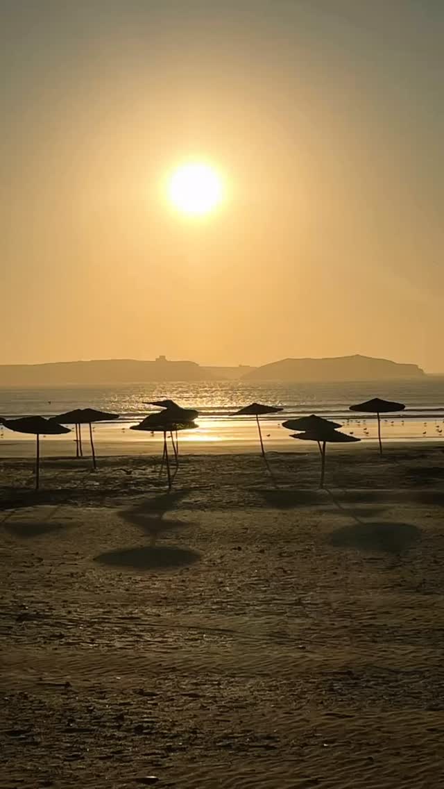 Bonjour à toutes, et tous
Pour célébrer la fin de l'année, et pour prendre un temps pour partager… Je vous invite à un goûter de Noël le samedi 13 décembre de 16 heures à 19h. Dans une très belle maison 27 rue du capitaine Madon 75018
je vous offrirai une boisson inspirante gente chai latte, ou romarin et une petite douceur, généreuse et bonne pour votre santé préparé avec amour !
Vous pourrez aussi faire quelques petits achats de Noël, ou je vous proposerai mes différentes créations :
Les petites vestes de kimono japonais que j'ai raccourci pour votre tenue de Noël…en soie et en coton entre 55-70€
des tod bags de différentes taille ainsi que des sacs de tapis de yoga que j'ai créé avec des tissus Wax africaines colorés .entre 15-25€
-des sous verre en bois fleur de vie pour energiser votre nourriture et vos boissons 7€/ unité
-des petites coupelles en terre peintes z la main. pour décorer votre temple ou votre table pour mettre des bougies chauffe plat! 8€:2
-des encens naturels fait à la main au Ketala par une grand mère indienne au lotus , nagchampa 0.50€ /le bâton
-des vestes en coton avec des flocages indiens avec le Om à 70€ .
Soyez les bienvenus à venir avec vos amis, votre famille…
Je vous accueillerai avec joie
Réservation au 06 62 77 45 55