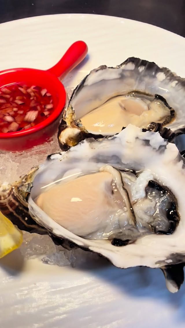 🦪 Freshly shucked, straight from the kitchen.
Today’s St Helen oysters from Tasmania are absolute beauties — crisp, clean, and brimming with that pure ocean sweetness.
If you’re an oyster lover, this is your moment.
Come in, taste them at their peak, and enjoy the freshest bite of the day at Bellezza.
📍 Bellezza Restaurant, Malvern
🕯️ Always fresh. Always with care.
#BellezzaRestaurant #FreshOysters #StHelenOysters #Malvernrestaurant #MelbourneFoodie #MalvernDining #SeafoodLovers #OysterTime #EatLocal #Foodstagram #MelbourneEats
