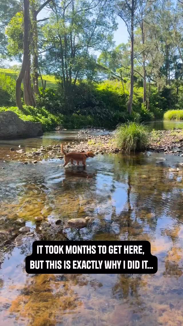 It took months of work to get here, but this is exactly why I did it.
You see Halle running free off-lead, but what you don’t see is the months of training, consistency, and systems we put in place so she could have this freedom.
Same with my business.
You see me having coffee at the park on a Thursday morning, but what you don’t see is the months of building systems and automation so my business could run without me being glued to my laptop.
Both required:
✓ Upfront investment of time and energy
✓ Consistent daily work
✓ Trust in the process
✓ Systems that work even when I’m not watching
The result? Halle gets to explore safely, and I get to be present for moments like this instead of answering emails at 7am.
Freedom isn’t free, but the work you put in upfront pays dividends forever.
What would you do with your mornings if your business ran automatically?
Ready to build systems that give you your mornings back? DM me ‘FREEDOM’