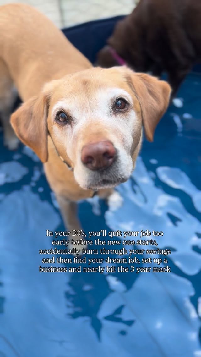 A lot happens in your 20’s 💙
Come end of the year, Floofs & Friends will hit the 3 year mark… crazy!! sometimes it’s worth trying something for a year and just see how it goes.
#smallbusiness