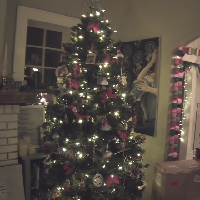 Christmas 2025
#campsnap8