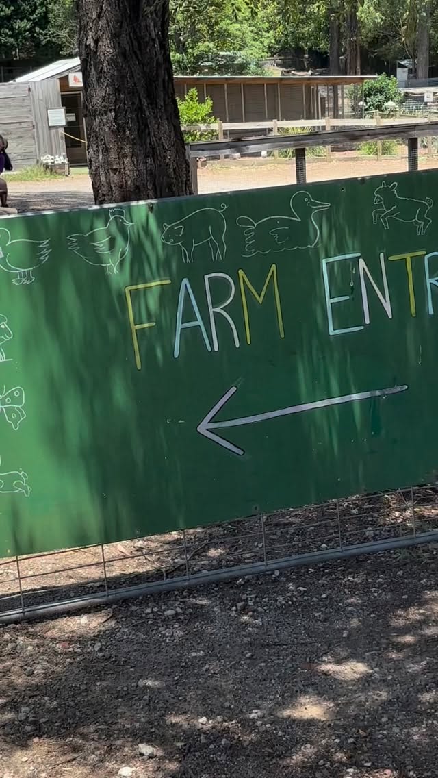 Exploring @goldenridgeanimalfarm in Dural. #toddlerfriendlyactivities #animalfarm #sydneykids #sydneykidsactivities #sydneywithkids