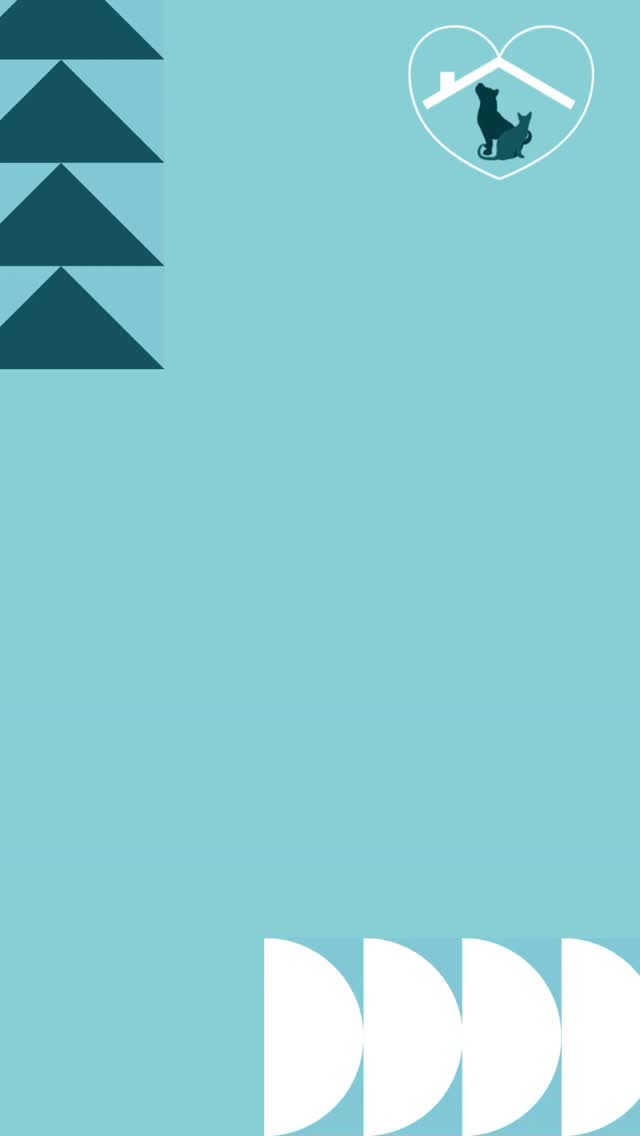 Ā”Hola amigos! Al finalizar el 2025, nos complace compartir una actualización sobre nuestra CampaƱa de Fin de AƱo: Juntos somos mĆ”s fuertes: Viviendas Justas y Protección de Mascotas cuando mĆ”s importa. (Stronger TogetherāHousing Justice and Pet Protection When It Matters Most.)
En esta temporada de donaciones, nos unimos por algo poderoso: mantener unidas a las familias y mascotas durante los desafĆos de accesibilidad de vivienda y desastres naturales. Esto no serĆa posible sin el apoyo de personas increĆbles como ustedes.
Gracias a ti, HEART ha brindado asesoramiento, defensa y apoyo de emergencia para familias con mascotas, ayuda en caso de desastres naturales como incendios forestales hasta la ampliación de recursos de viviendas para dueños de mascotas que enfrentan inseguridad. Tu apoyo cambia vidas.
Gracias a tu generosidad, ya hemos recaudado $4,135, ”el 41% de nuestra meta de $10,000! Cada dólar financia servicios esenciales como referencias de viviendas que admiten mascotas, ayuda en caso de desastres naturales y asesoramiento sobre recursos para el bienestar de las mascotas.
Mira cuĆ”nto podrĆa brindar tu donación:
š$25 proporcionan recursos de apoyo para una mascota.
š$50 ayudan a una familia a superar los desafĆos de vivienda.
š$250 ofrecen un paquete completo de ayuda en caso de desastre natural para una familia y sus mascotas.
š$500 ofrecen alojamiento temporal y asistencia con la vivienda para una familia en crisis.
”Ya hemos alcanzado el 41% del camino, y necesitamos tu ayuda para terminar con fuerza!
Visita givebutter.com/HEART2025 para donar hoy mismo. Tu donación nos permite continuar con este trabajo vital: brindar ayuda de emergencia, recursos legales y atención compasiva.
Cada dólar cuenta. Comparte esta campaña con tus amigos y familiares, porque juntos podemos asegurar que las mascotas permanezcan con quienes las aman.
De parte de todos en HEART, gracias por hacer de este aƱo un aƱo increĆble. Ā”Hagamos que 2026 sea aĆŗn mejor, juntos!