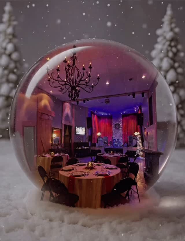 Snow Globe Dreams âď¸