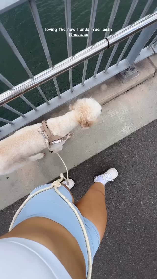 Oat beige looks sooo good on Noodle 😍💕
Thank you @itsaddieslife 🫶🏻🫶🏻🫶🏻
#nooalifestyle