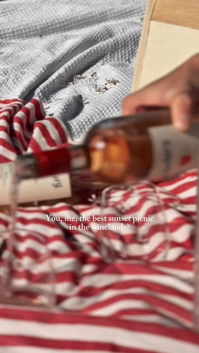 Send this to the person you want to take with you to a Nederburg sunset picnic 🥂☀️✨
This could be you sinking into the freshly cut grass on Nederburg’s lawn with a perfectly curated picnic basket, a chilled bottle of wine, and your special person.
Nederburg’s newly launched Under The Stars picnics are an absolute vibe and one we can’t get enough of.
Here are the upcoming dates, all with live music:
13 December - Newton & Co
20 December - Johan van der Merwe
27 December - Juan Casey
#WelcomeToOurHome #SummerSunsetPicnic #NederburgPicnic