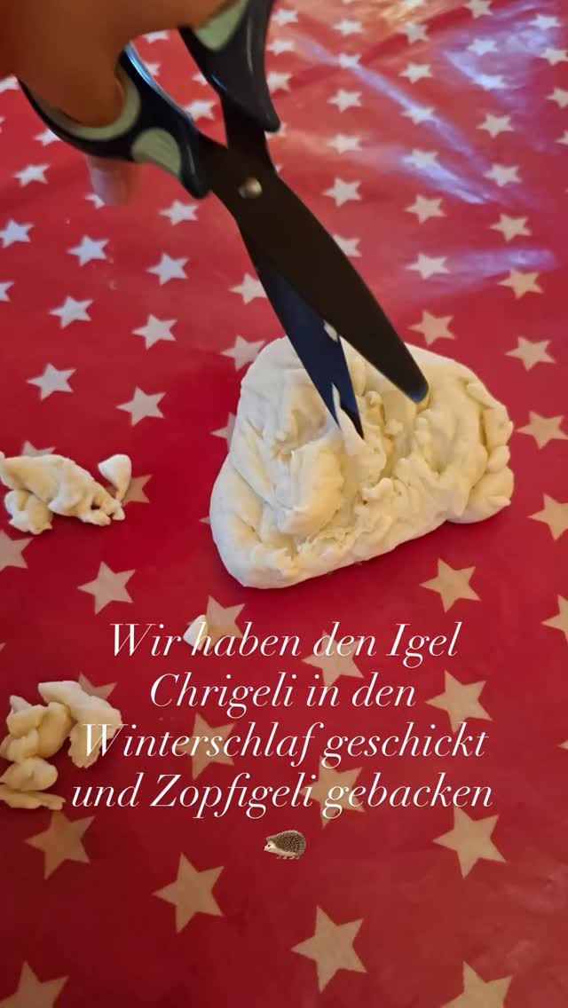 Wir haben den Igel Chrigeli in den Winterschlaf geschickt und Zopfigeli gebacken
🦔
#spielraumgrabs #kleinkind #sandbank #storchennest #kinder #freiesspiel #sandspiel #pikler #spielraum #grabs #werdenberg #Elternsein #wiegestube #kinderstube #spielgruppe #selbstbestimmtesspiel #elternkindgruppen #igel #winterschlaf