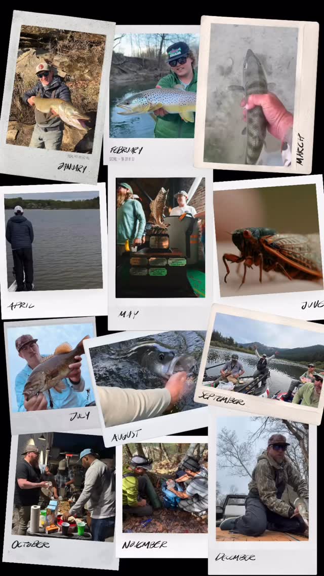 Too late for a recap?…ahhh screw it. We were never good at timing anyways. A few standout moments from 2025 #newyearsameus #flyfishtn #flyfishingjunkies #thehatchoutfitters #hatchout