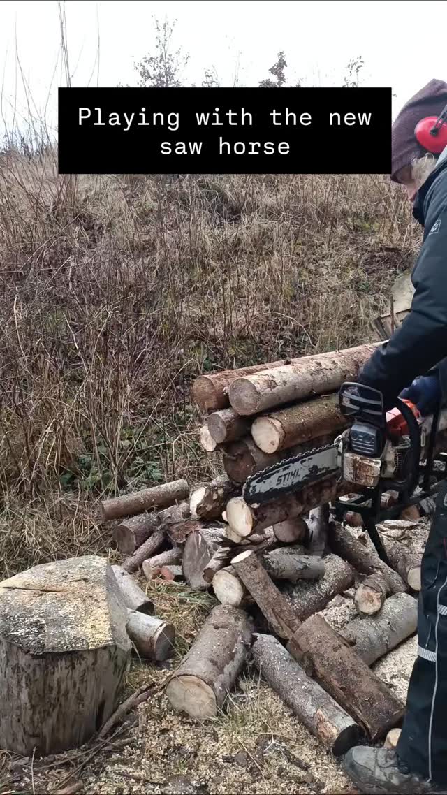 New saw horse funsies