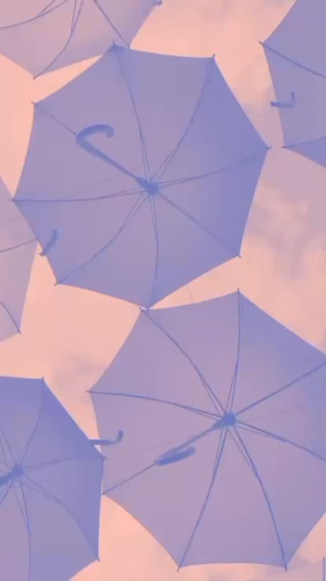 Evolution isn’t optional — it’s necessary.
BGGD is now more than a brand. It’s a holding company. And this is just the beginning. #BGGD #brumgyaliegyaldem #holdingcompany #transition